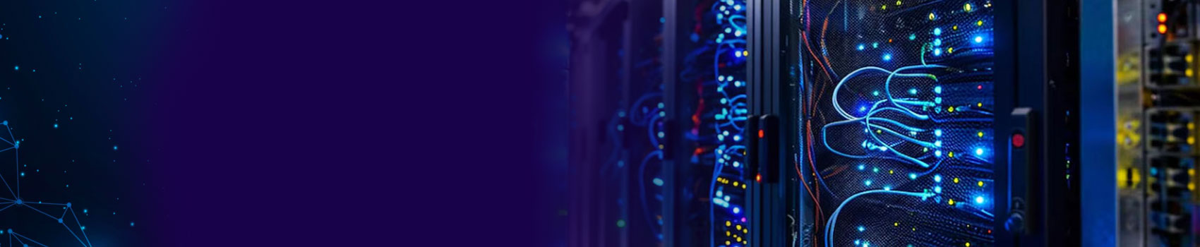 radiply radiris header